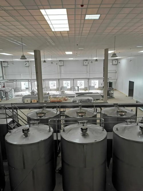 智冠羊奶粉的坚实后盾 陕西金牛乳业新工厂试产在即，品质安全再升级